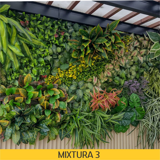 Mixtura 3 Premium | Mix de Hojas verdes + Aplicaciones de color + Plantas colgantes