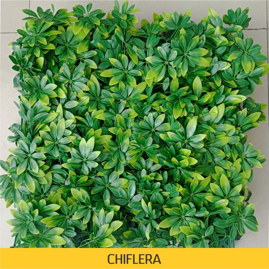 Chiflera