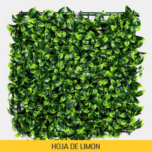 Hoja de Limón